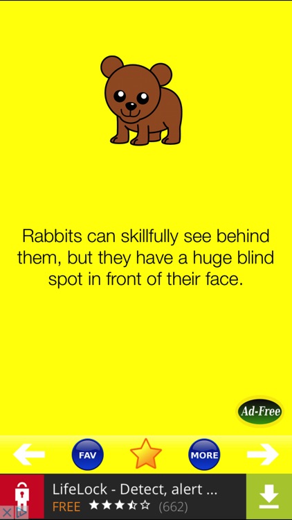 Animal Fun Facts