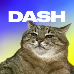 Meme Dash