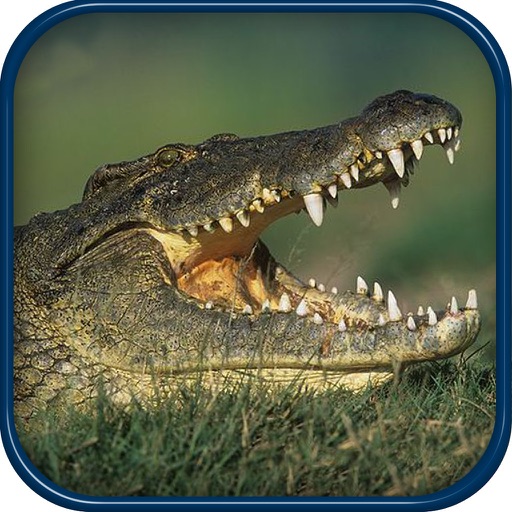 Monster Alligator Returns Hunting Simulator 3D iOS App