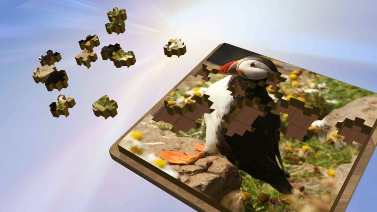 Super Jigsaws Birds screenshot-3