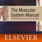 The Muscular System Manual by Dr
