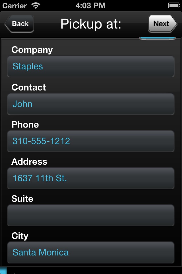 Digital Waybill screenshot 2