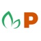 Pappaya Timesheet Application, this free application extends  Pappaya RMS Solution to your iOS devices