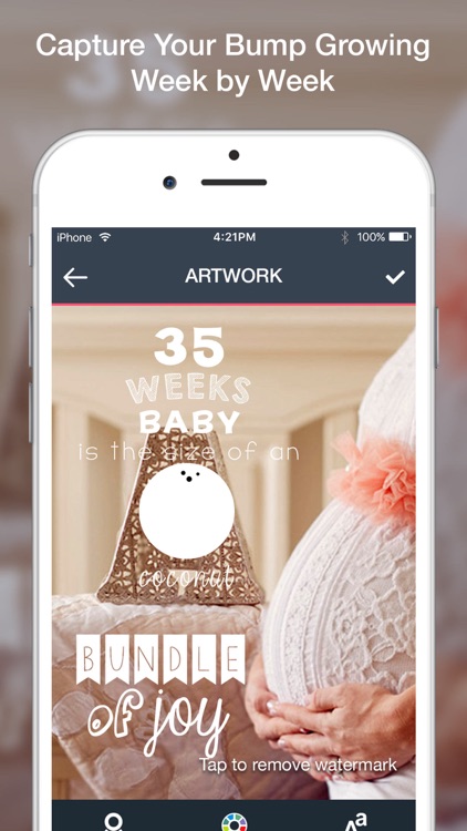 Baby Art- Baby Monthly Pictures & Baby Milestones