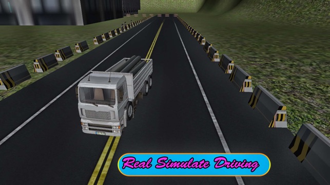 Cargo Shipping Truck : Tricky Phony Driving(圖3)-速報App