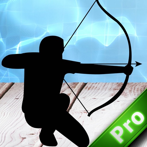 Archer Water World Champion PRO icon