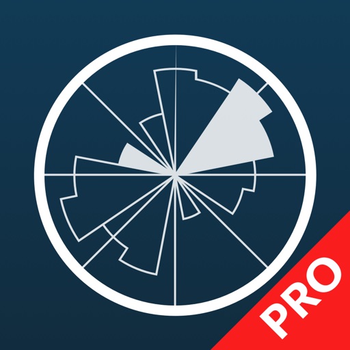 Windy Pro: marine weather app Icon