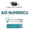 Aiò Numericu