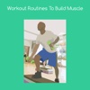 Work routines to build muscle