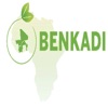 Programme BENKADI