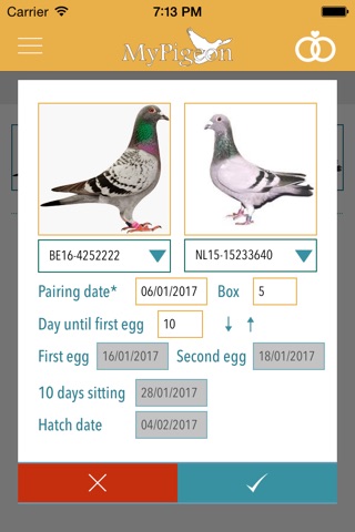 MyPigeon App screenshot 4