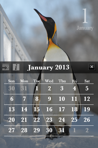 動く・旭山動物園カレンダー2013 screenshot 2
