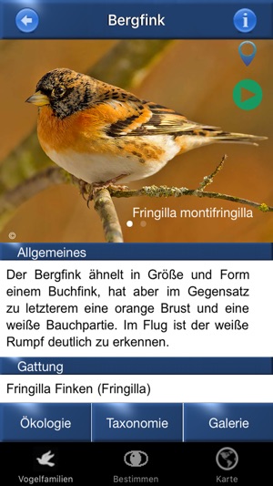 Vogel Id Schweiz, Vögel bestimmen im Garten + Wald(圖4)-速報App