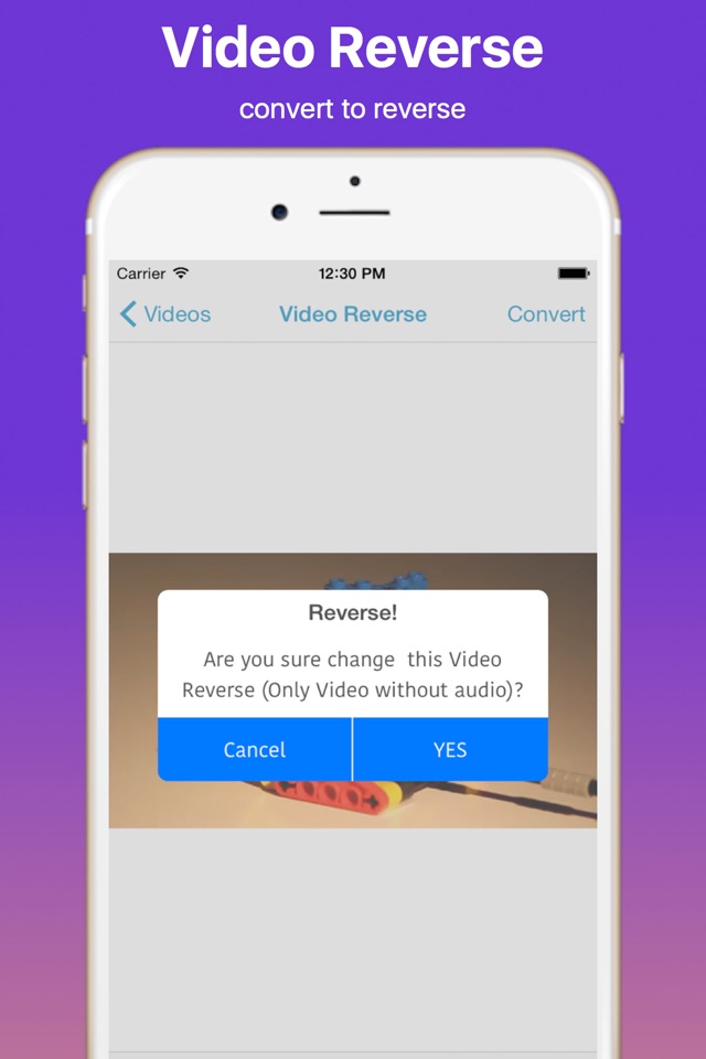 Video Reverse Pro screenshot 3