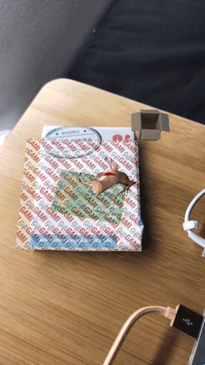GiftGAMI
