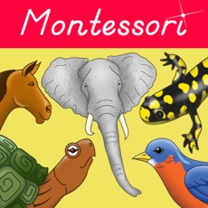 Activities of Parts Of Animals Vertebrates - Montessori Zoology