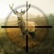 Hunting Simulator is a technical and realistic visual ballistic app for hunters
