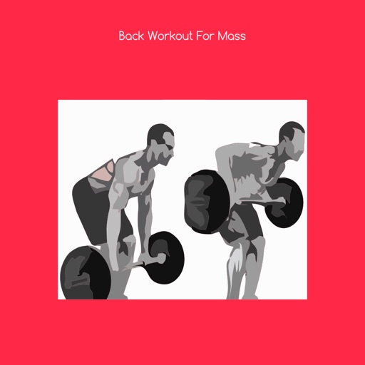 Back workout for mass icon