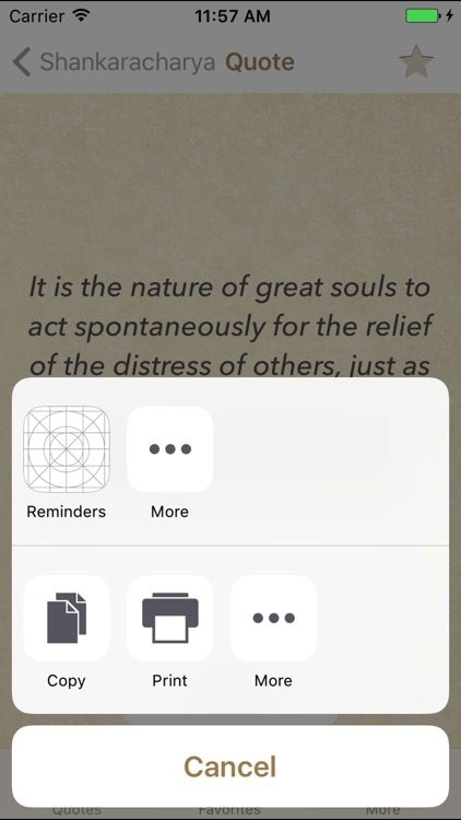 Adi Shankara Quotes and Sayings of Advaita Vedanta screenshot-3