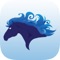 BlueHorse Rewards is a FREE reward managing app available for iOS