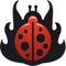 LaraBug will catch any error (exception) and save it to your created project