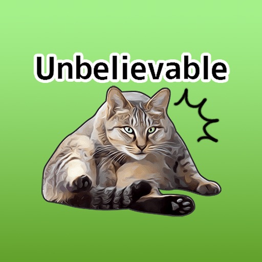Cats and English phrases icon