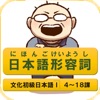 日本語形容詞活用（現在・過去・否定・過去否定）文化初級日本語