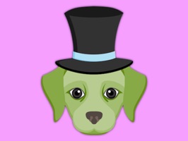 Celebrate Saint Patrick's Day in Style