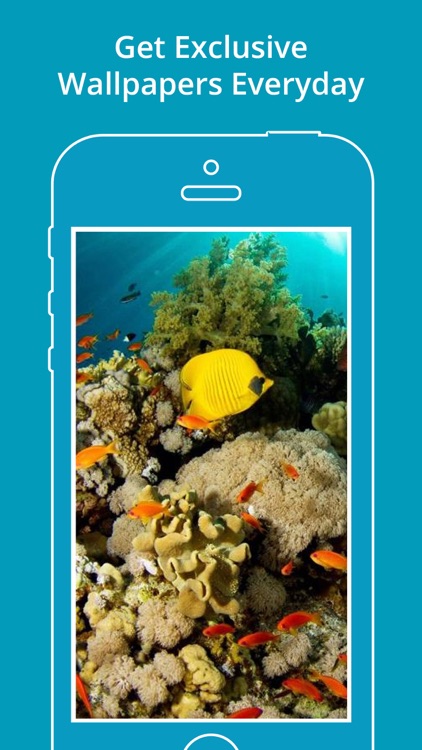 Aquarium Wallpapers | Backgrounds screenshot-4