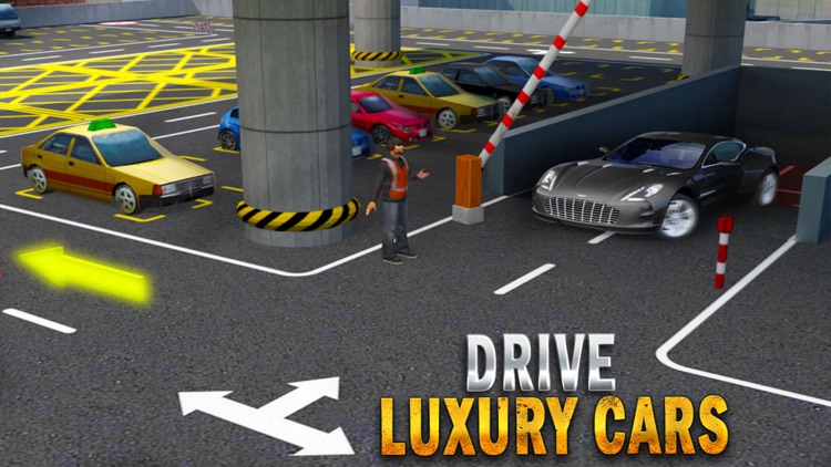 Multi Level Car Parking Spot: Driving School Game screenshot-4