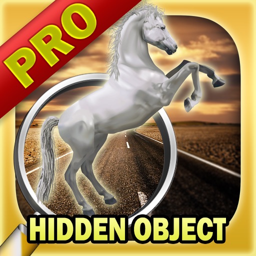 Hidden object: Mysterious traveler pro