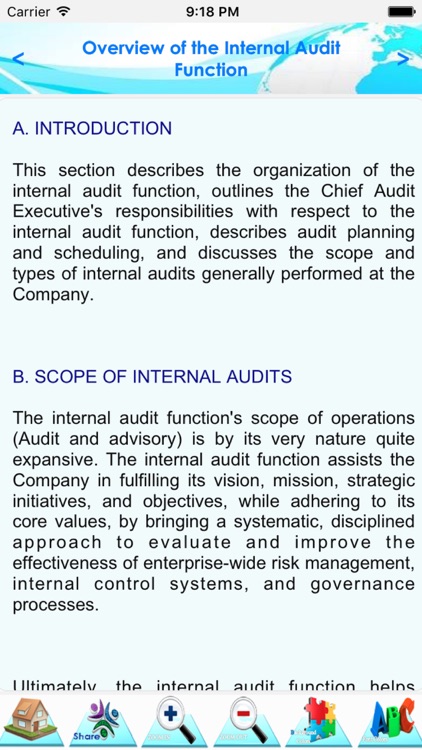 Internal Audit Manual