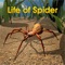 ***** Life of Spider *****