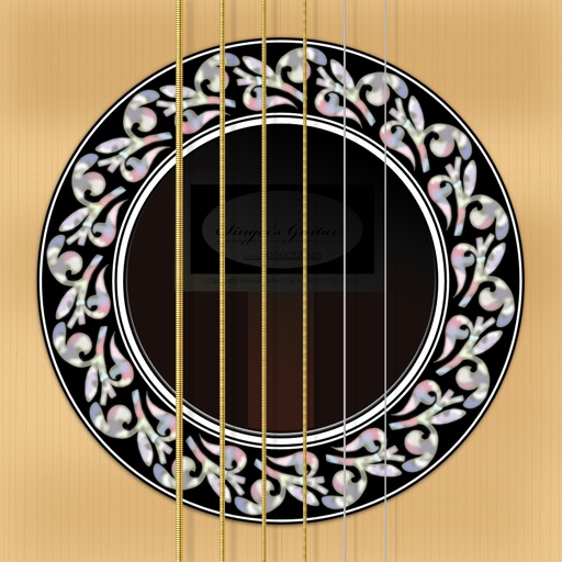 Singer's Guitar