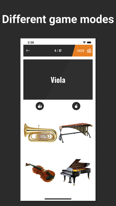 Quiz: Musical Instruments screenshot 4