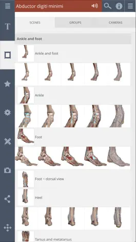 Game screenshot Leg, Ankle, Foot: 3D Real-time apk