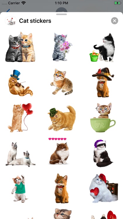 Cat stickers