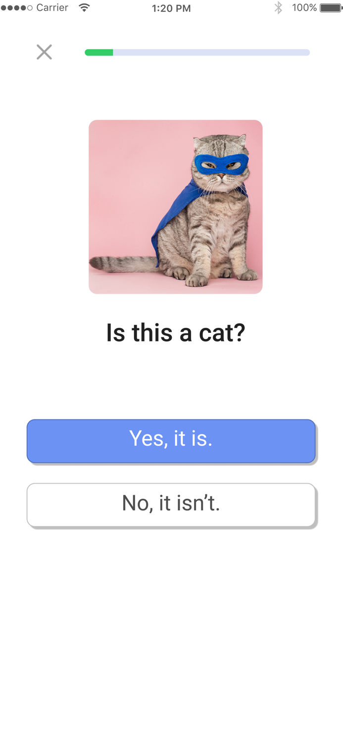 인스팅고Instingo