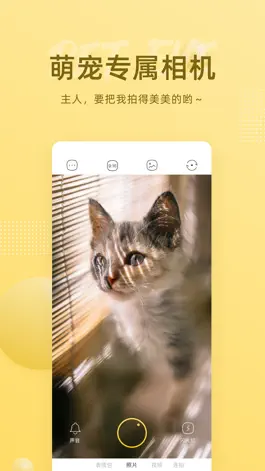 Game screenshot 萌仔相机-猫狗专属宠物相机 mod apk