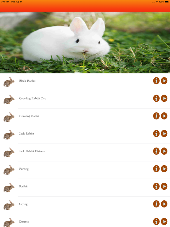 Screenshot #5 pour Rabbit Hunting calls