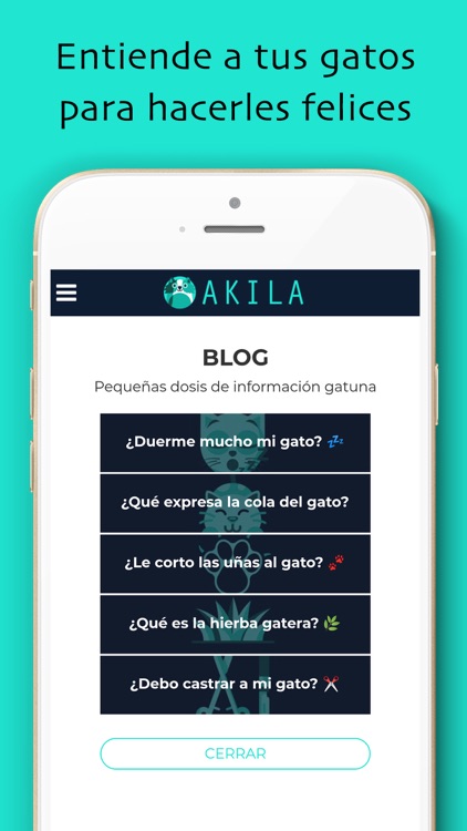 Akila: Adiestra a tu gatito screenshot-7