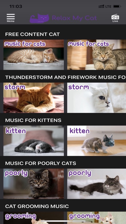RelaxMyCat - Relaxing Music TV