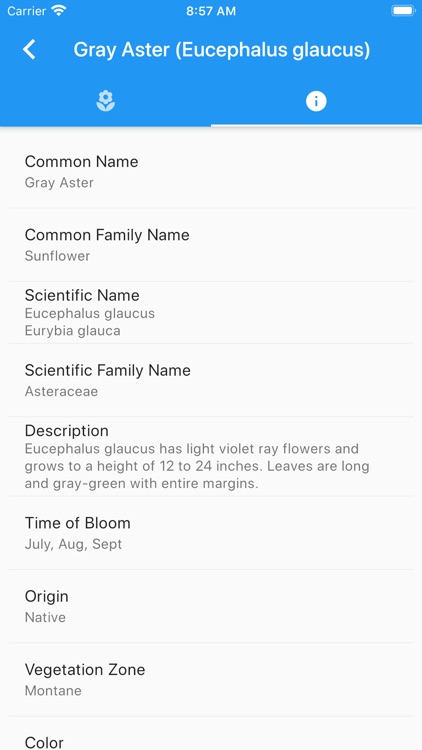 Colorado Wildflowers Guide