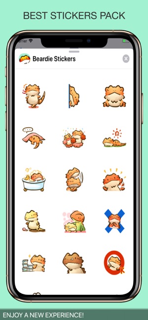 Beardie Chat Stickers(圖2)-速報App