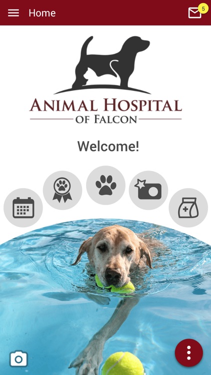 Animal Hospital of Falcon