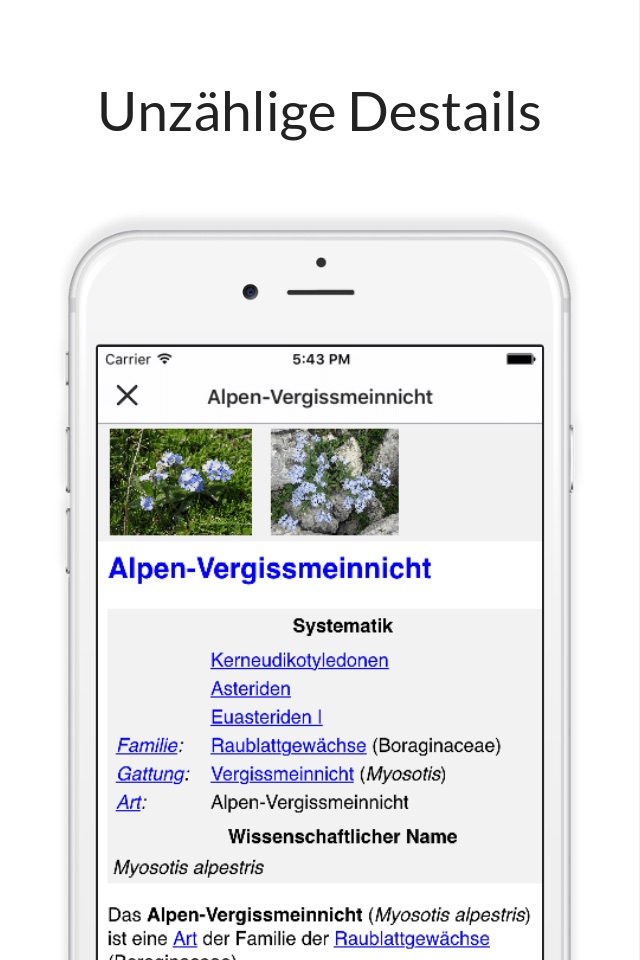 Flora des Alpenraums screenshot 3