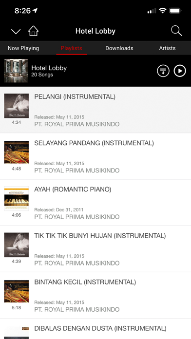 Musik Hub screenshot 3