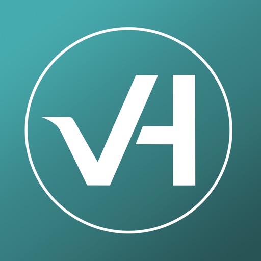 VirtualHub Icon