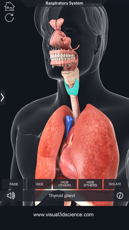 My Respiratory System Anatomy screenshot-3