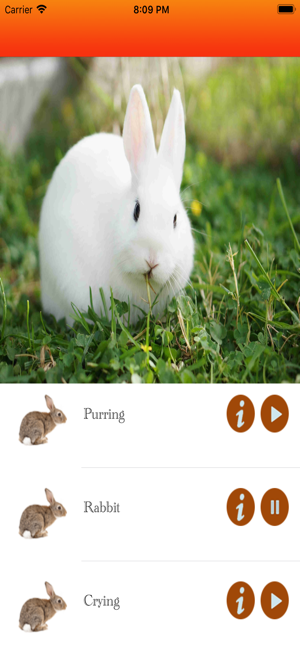 Rabbit Hunting calls(圖5)-速報App